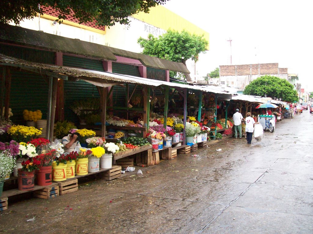 Mercat de Flors de Tonalà-Chiapas-Méxic., Тонала