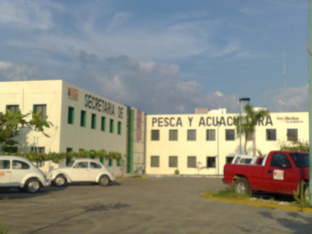 Secretaria de Pesca y Acuacultura, Тонала