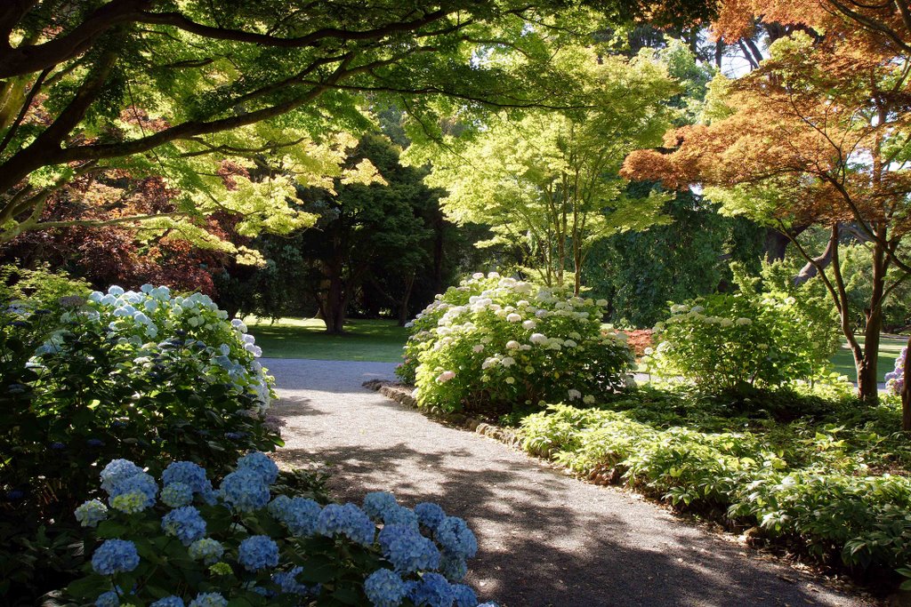 Botanischer Garten in Christchurch, Крайстчерч