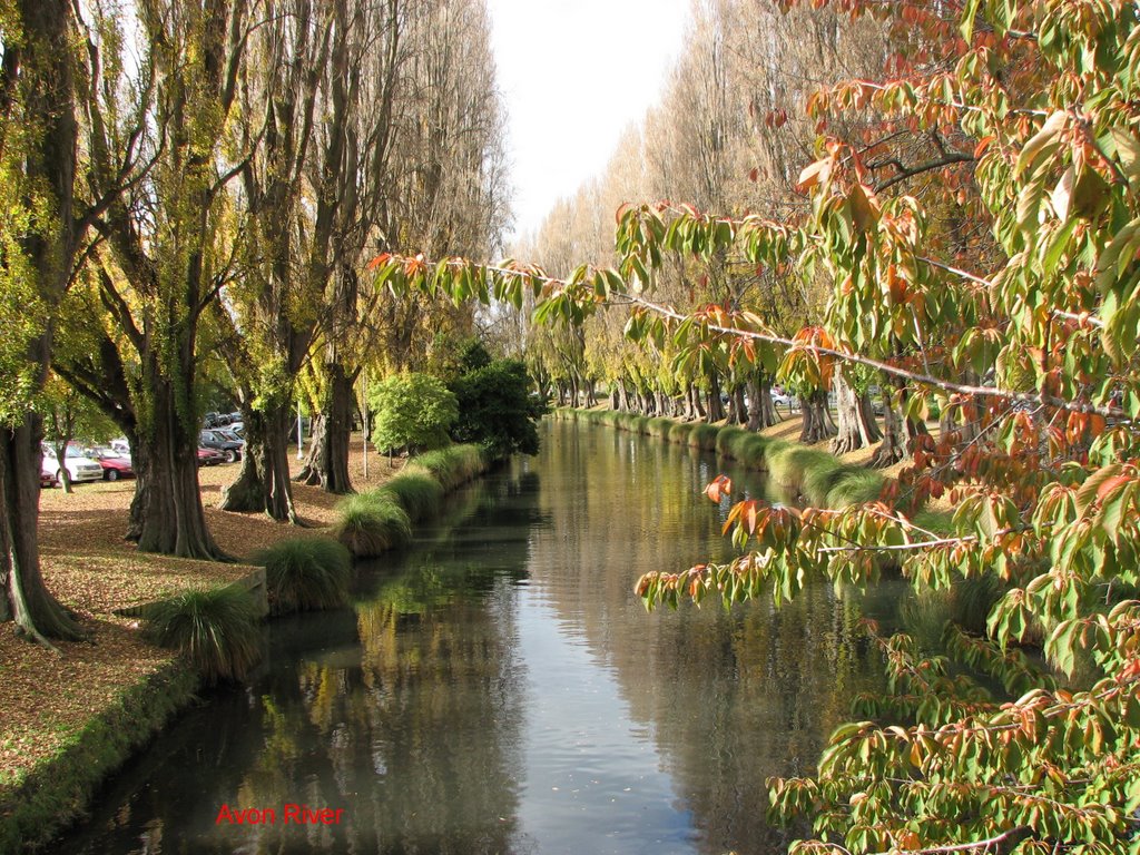 Avon River in autumn, Крайстчерч