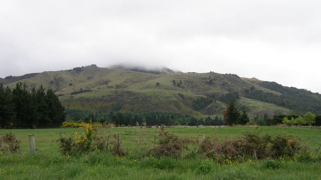 Mt Alford, Alford Forest, NZ, Ашбуртон
