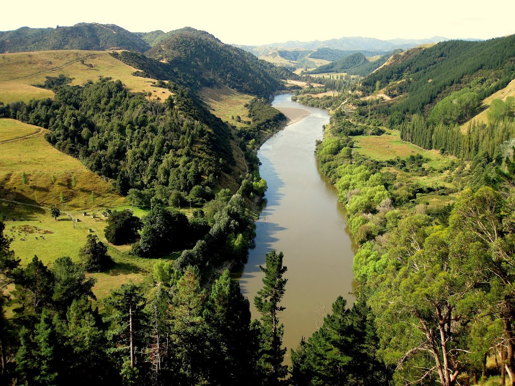 NEW ZEALAND, WHANGANUI - Whanganui river, Вангануи