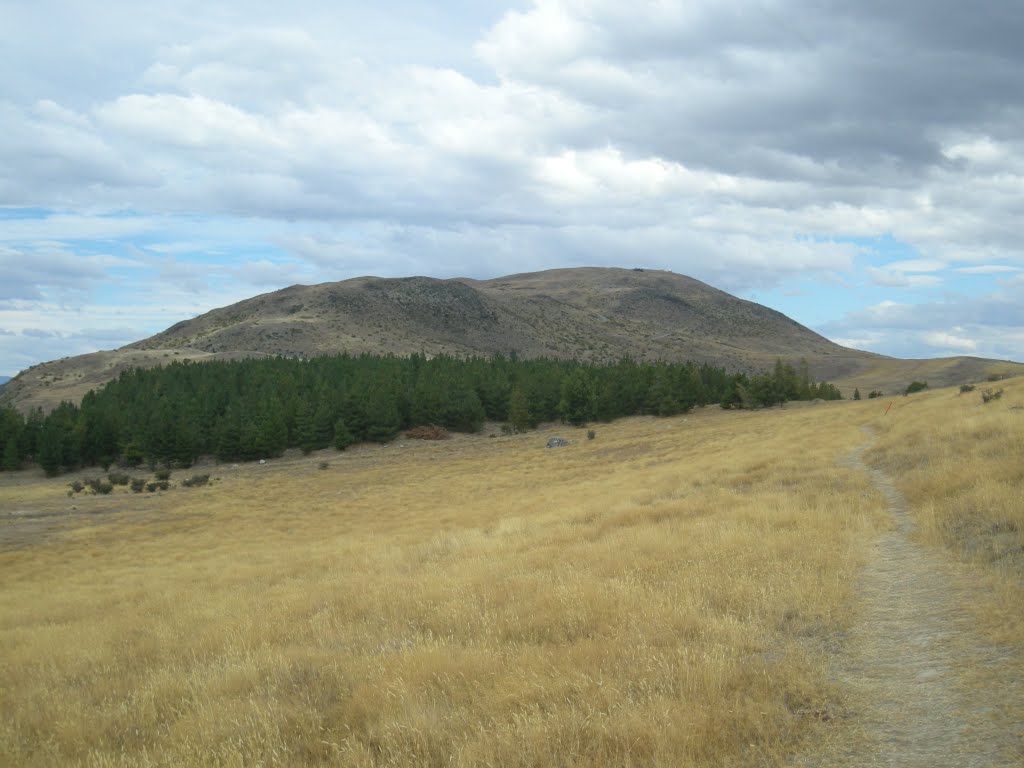 Mount John, Peninsula walkway, Гор
