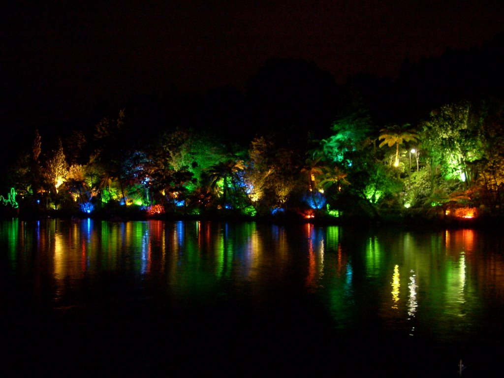 Festival of Lights, Нью-Плимут