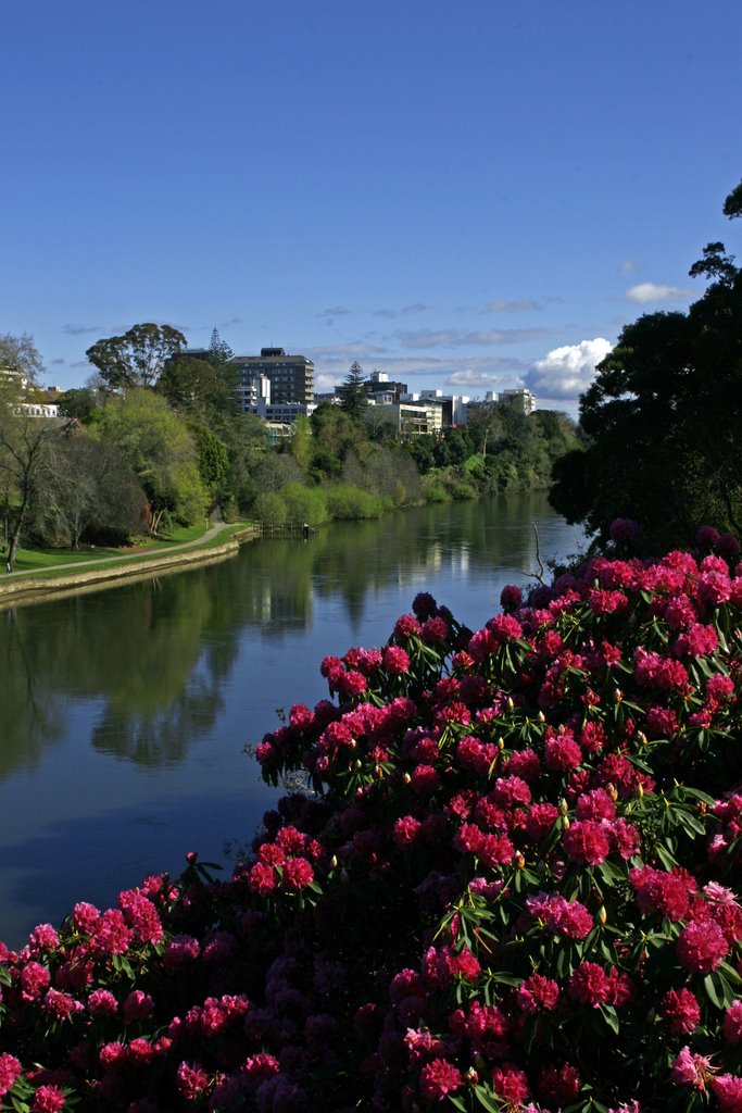Waikato River, Hamilton NZ, Гамильтон
