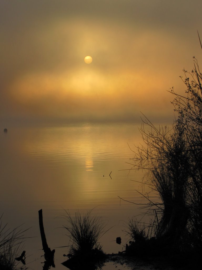 Sunrise in the fog, Hamilton Lake, Гамильтон