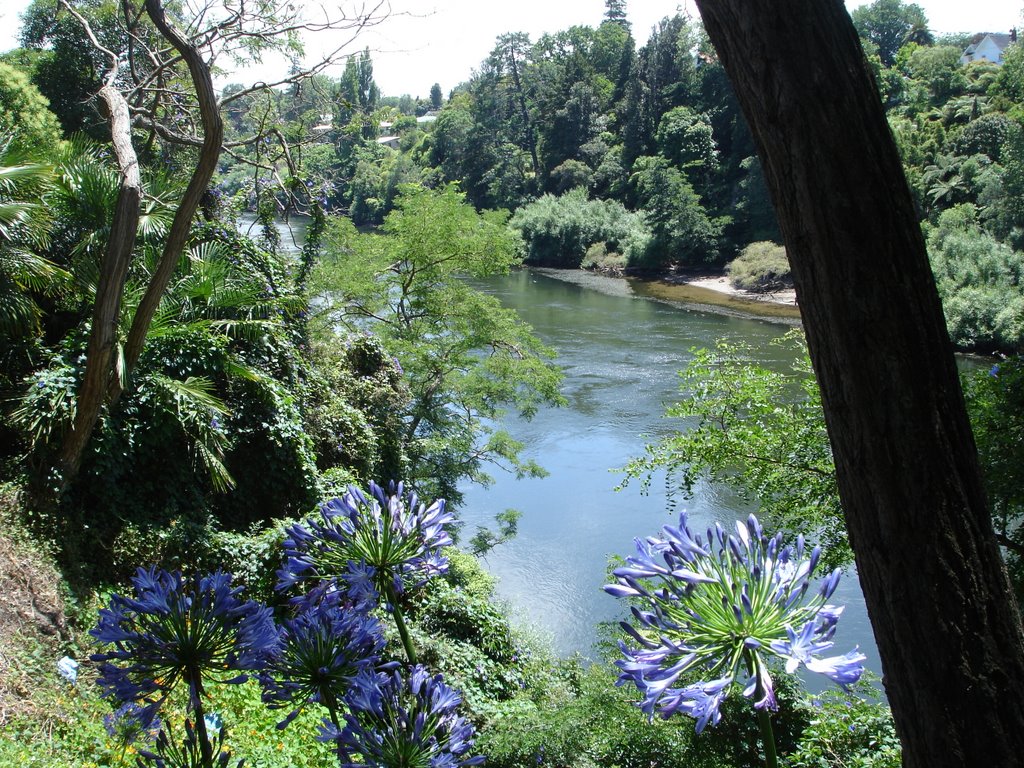 Waikato River Hamilton NZ, Гамильтон