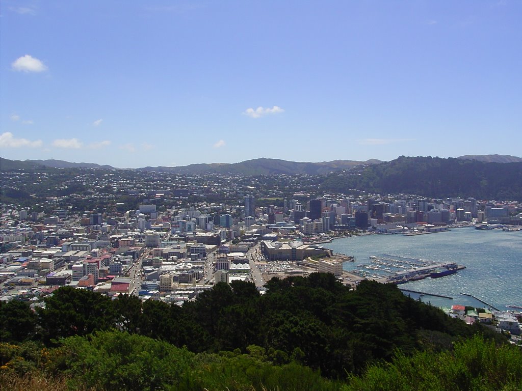 New Zealand - View on Wellington, Веллингтон
