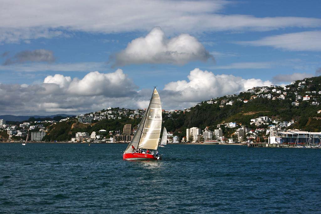 Sailing regatta on Wellington harbour, Веллингтон