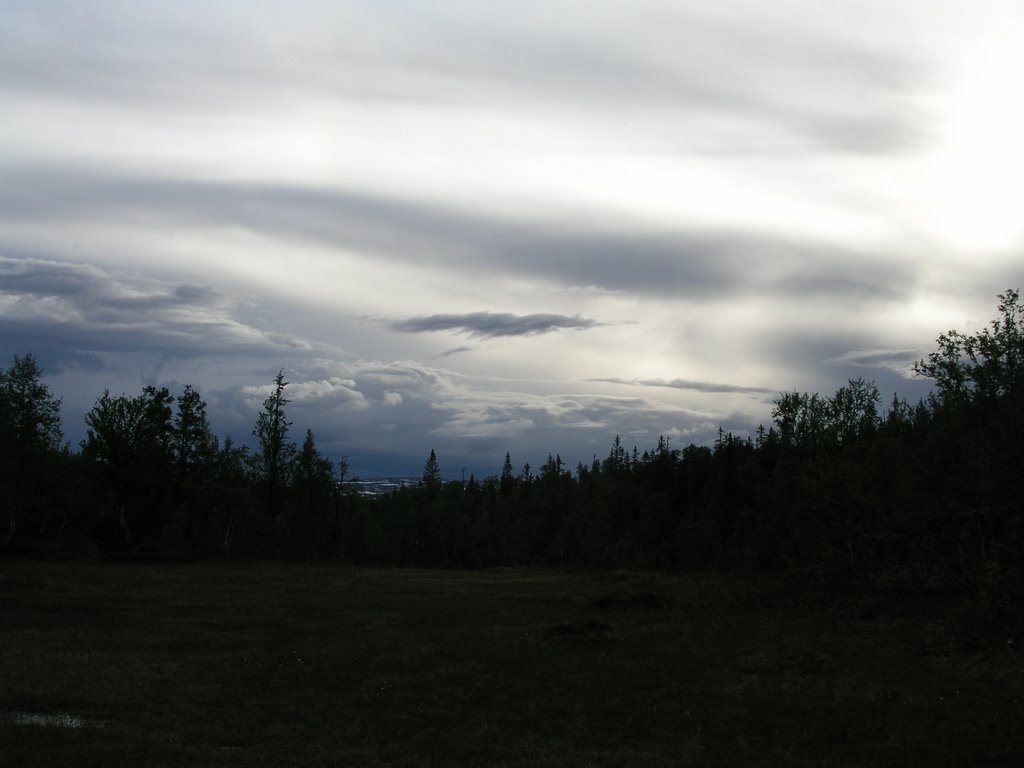 Stormattistjørna unprotected old-growth forest 3, Боде