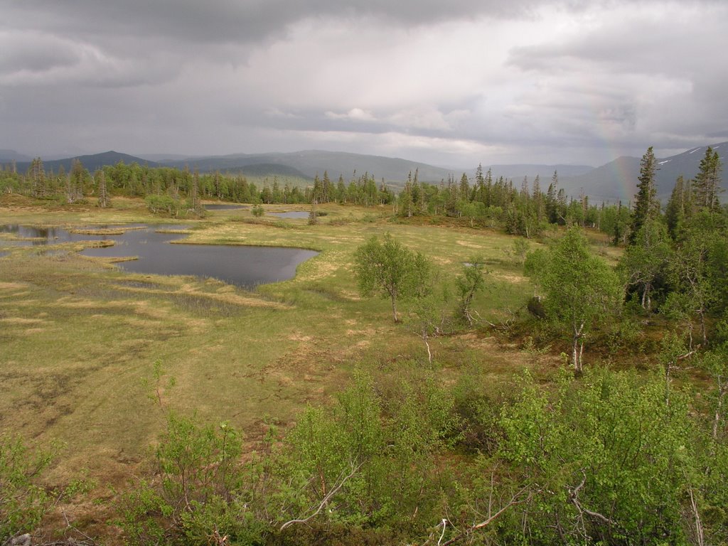 Stortissvatnet unprotected mountainous forest, Боде