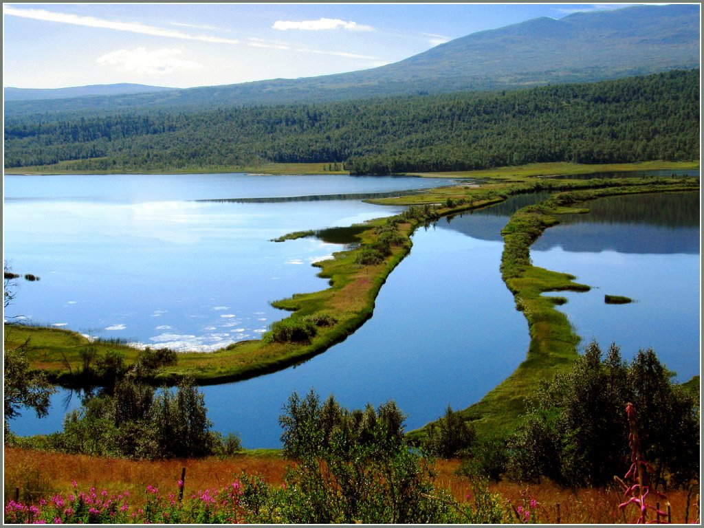 Kultsjön Saxnäs Lappland, Боде