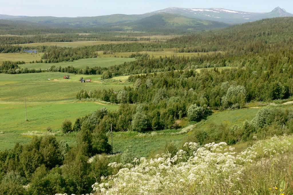 Berglimyr-Klumplifjell- Lakavasshatten, Боде