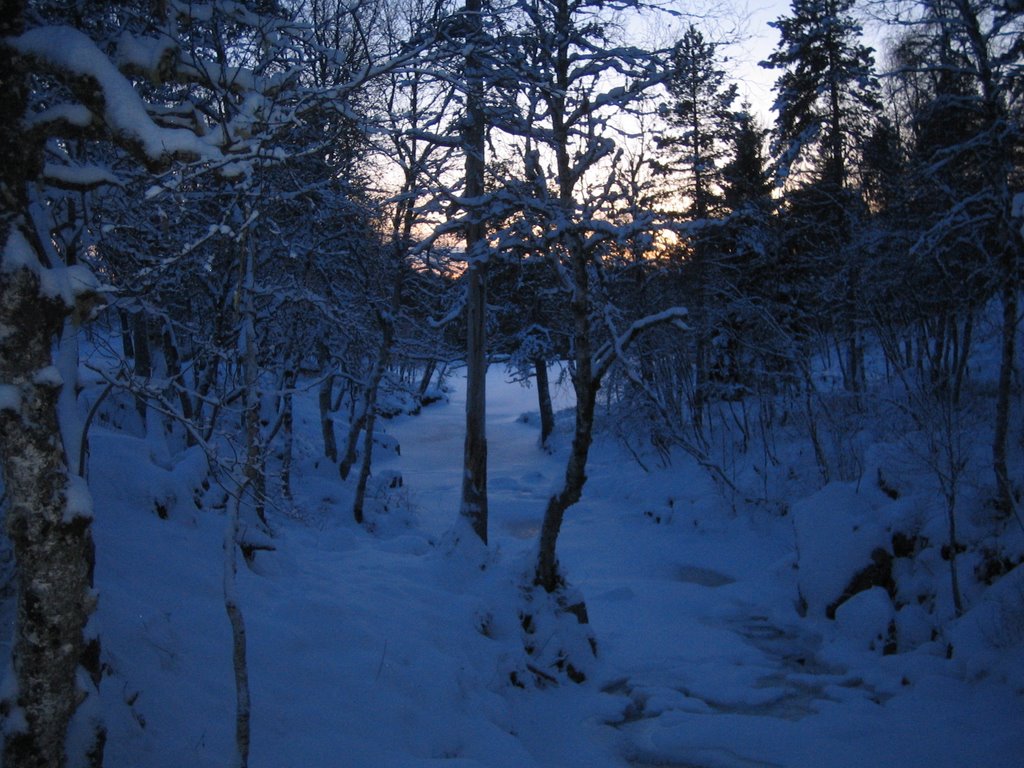 Kald vinterdag i Molde Marka, Молде