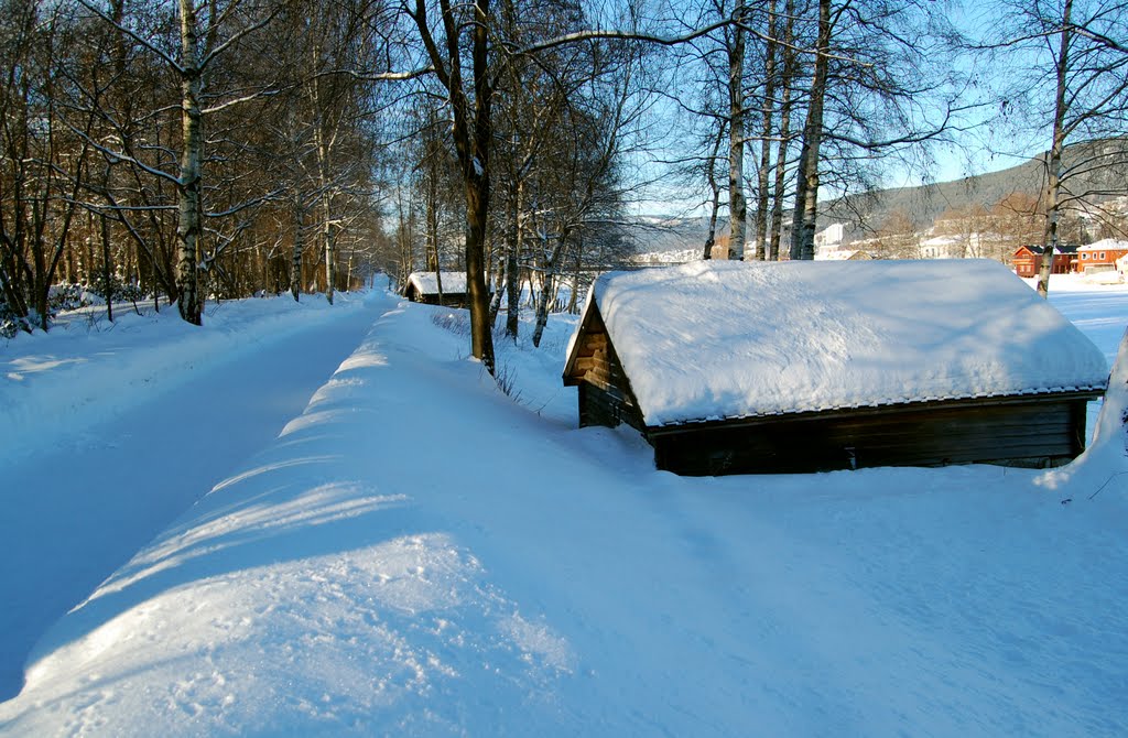 The South Bank of frozen Drammenselva, Драммен