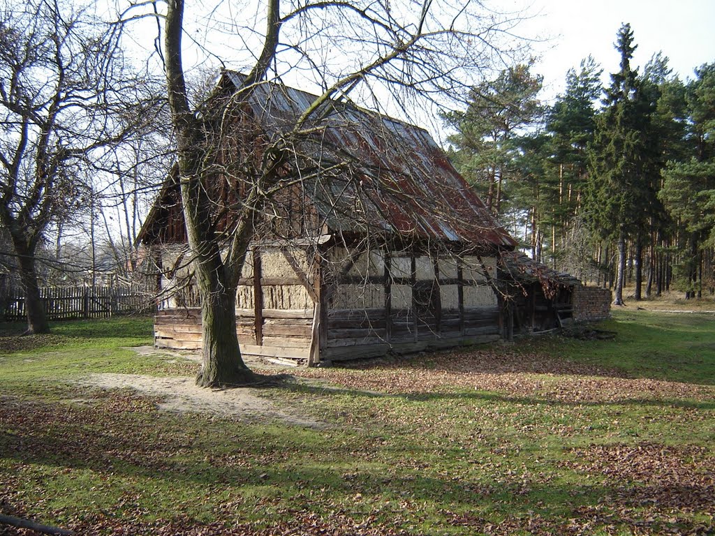 Ostatnii drewniany budynek w okolicy, Билава