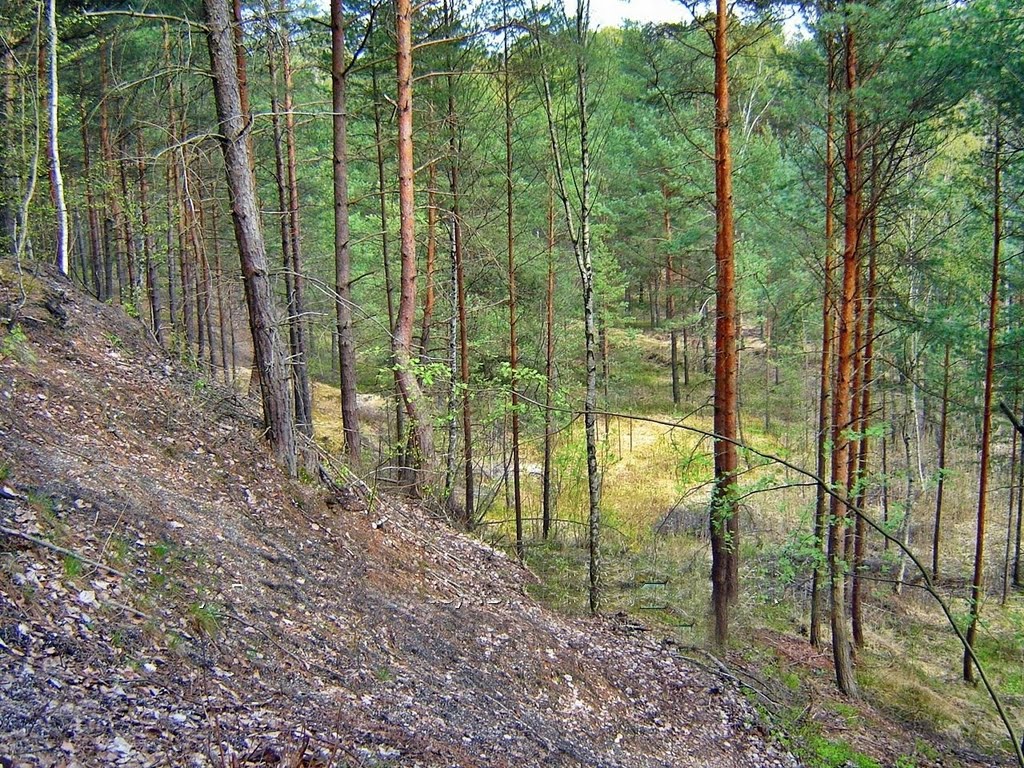 Teren byłej kopalni gliny czynnej do lat 50 -tych XX wieku, Валбржич