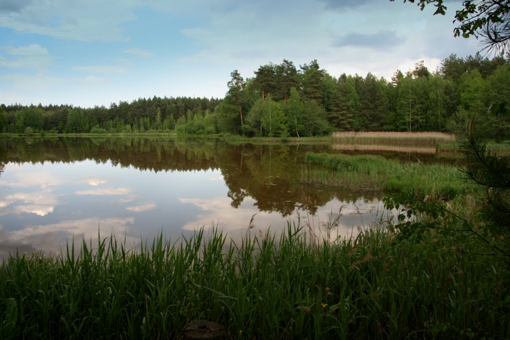 Zalew Klików, Вроцлав ОА