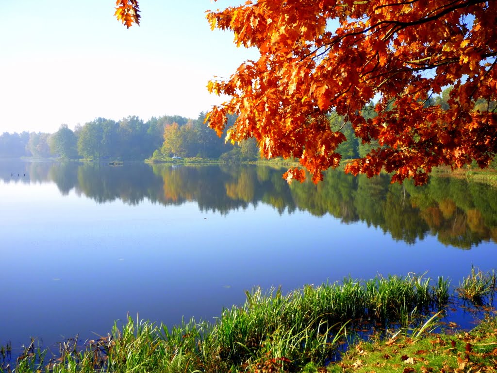 Jesień w lustrze wody, Желеня-Гора