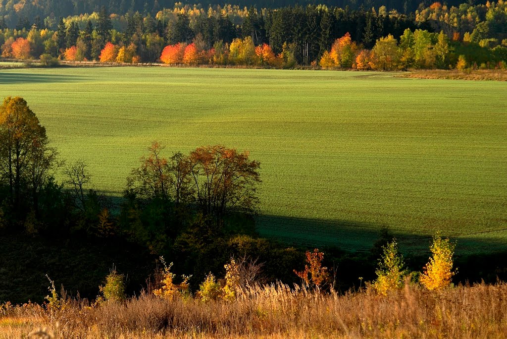 autumn, Нова-Руда