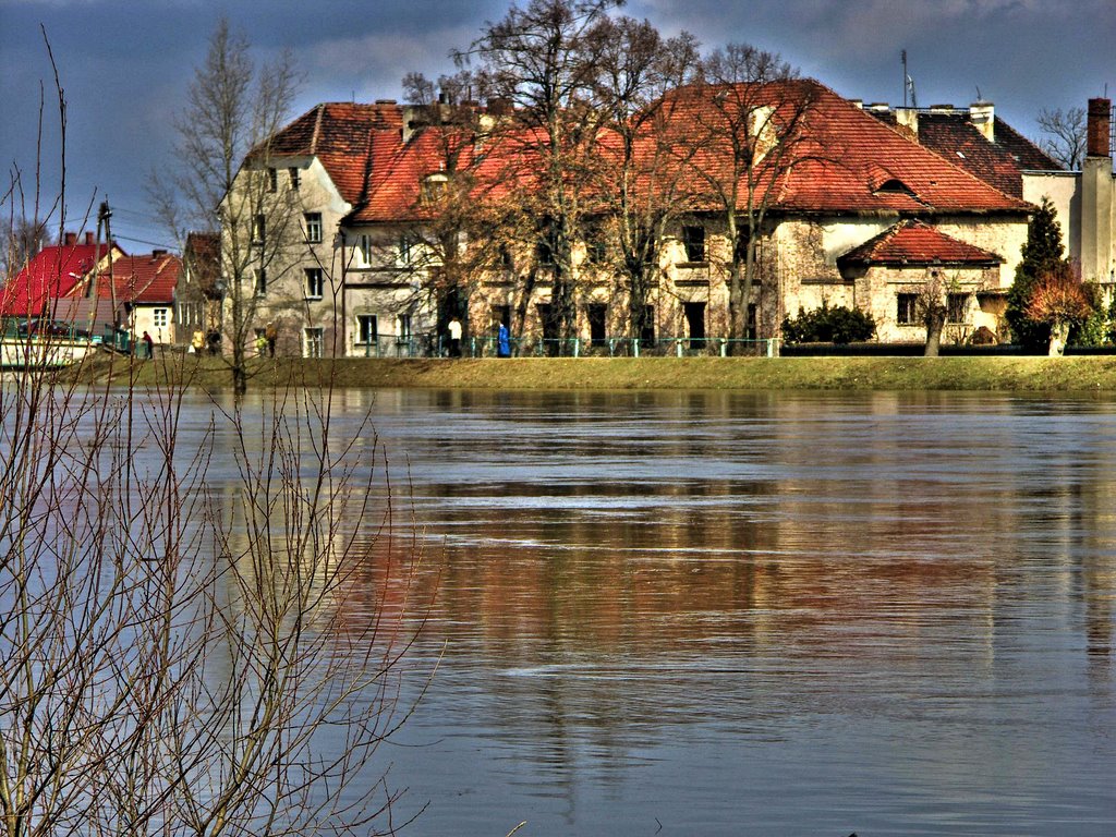 Powódź 2005, Олава