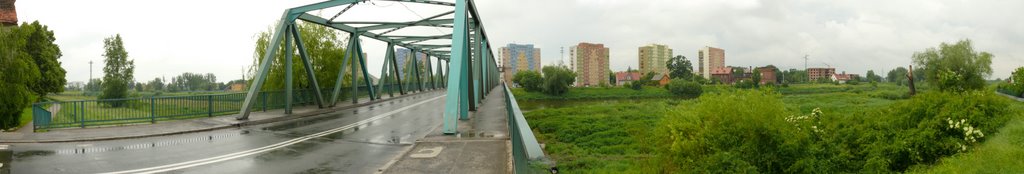 Oława in Panoramic view from west side, Олава