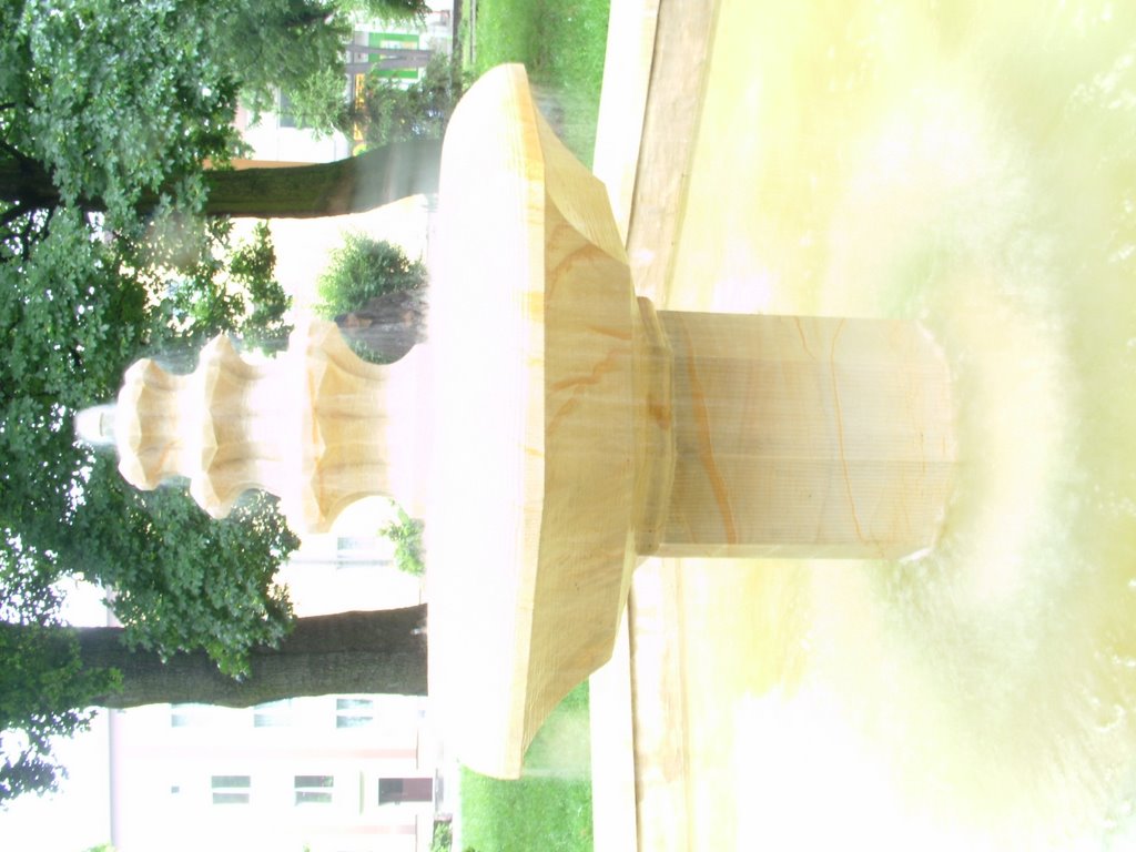 Fontanna przy Kościółku na Rocha, Олава