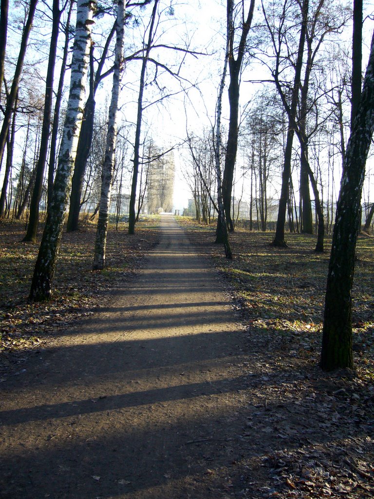 Park u wylotu Gazowej, Олава