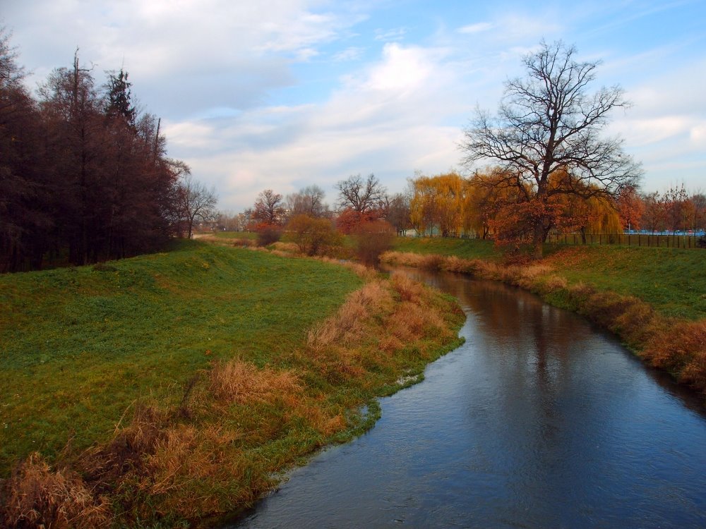 Rzeka Oława jesienią, Олава