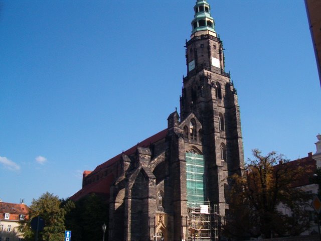 Swidnica Cathedral, Свидница