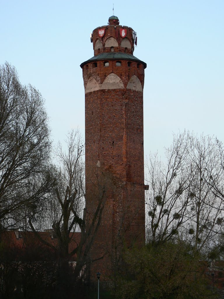 Zamek w Brodnicy, Бродница