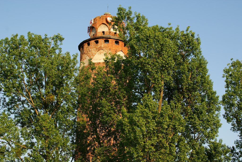 BRODNICA castle tower, Бродница
