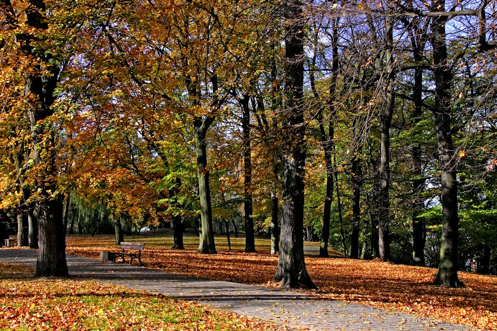 Autumn, Быдгощ