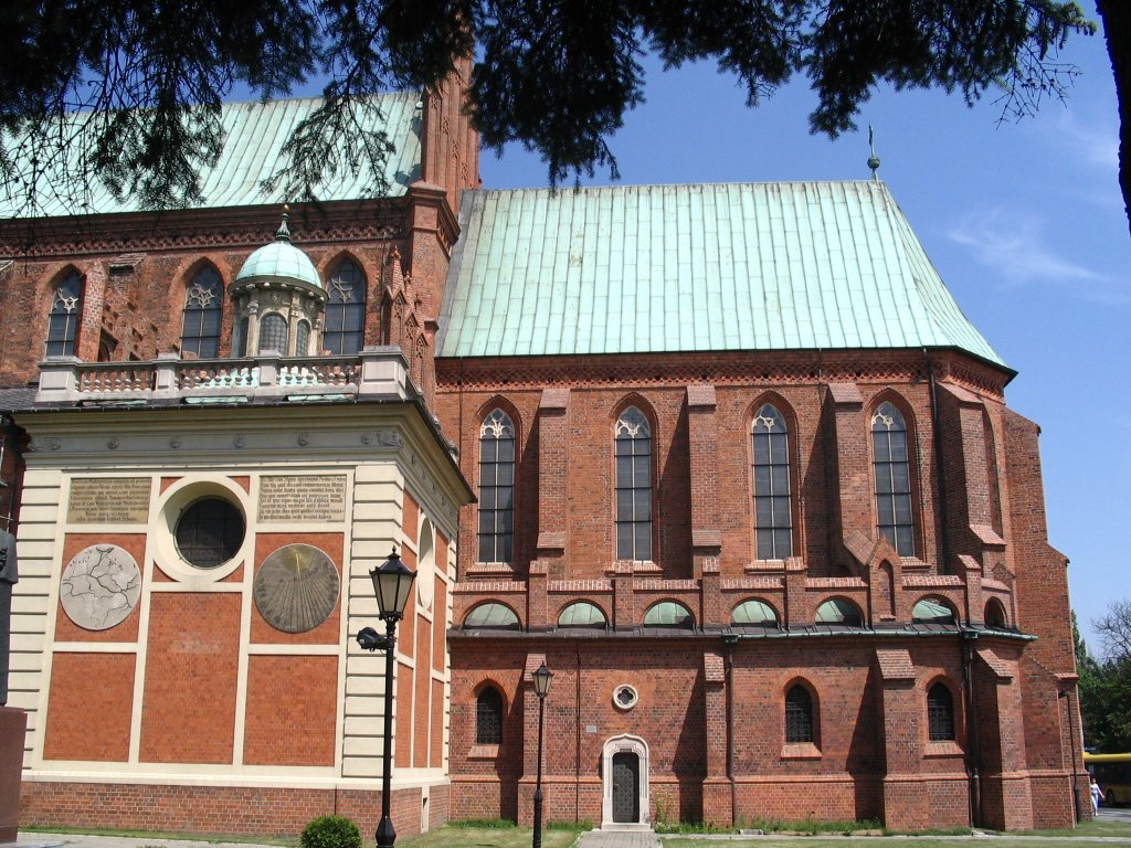 Katedra, Влоцлавек