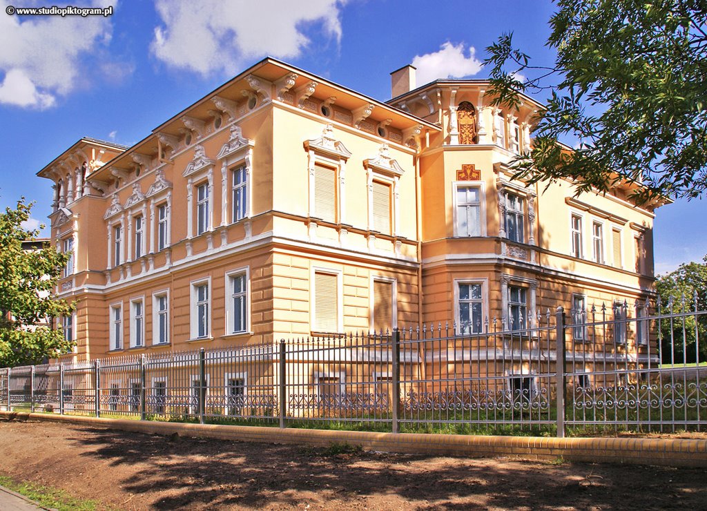 Muzeum, Иновроцлав