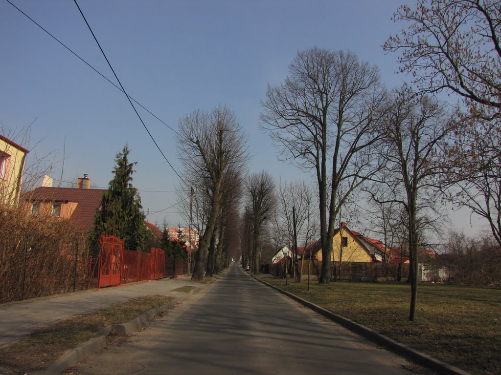 Inowrocław - ul. Lipowa, Иновроцлав