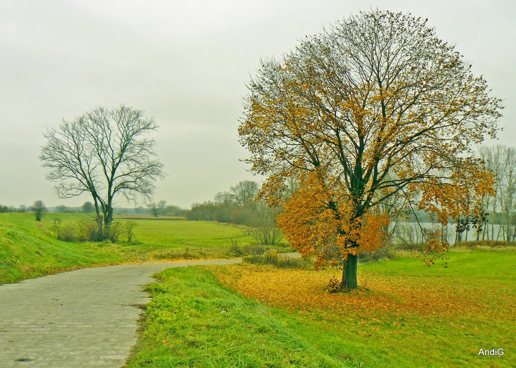 Autumn, Торун