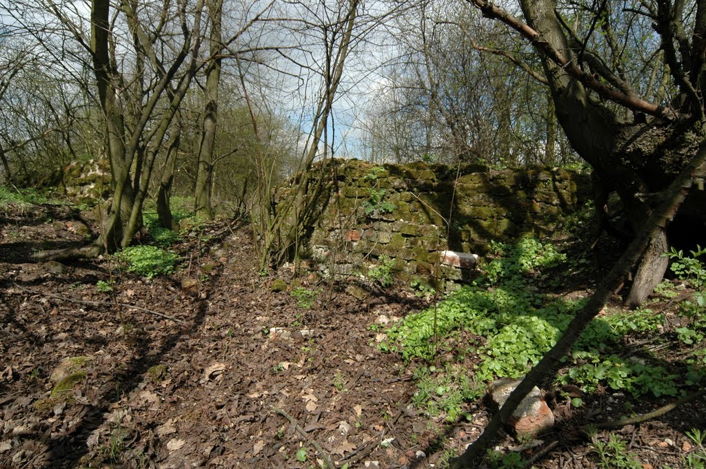 Pozostałości zamku w Małej Nieszawce (www.zamki.pl), Торун