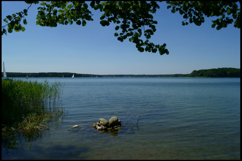 Nad jeziorem -Jezioro Niesłysz, Горзов-Виелкопольски