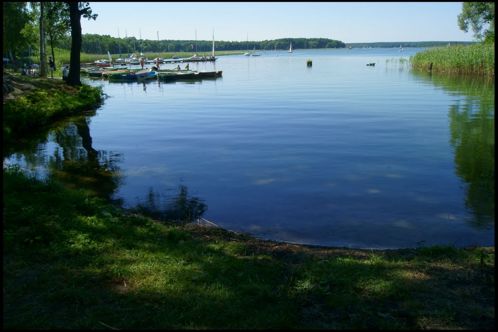 Jezioro Niesłysz, Горзов-Виелкопольски