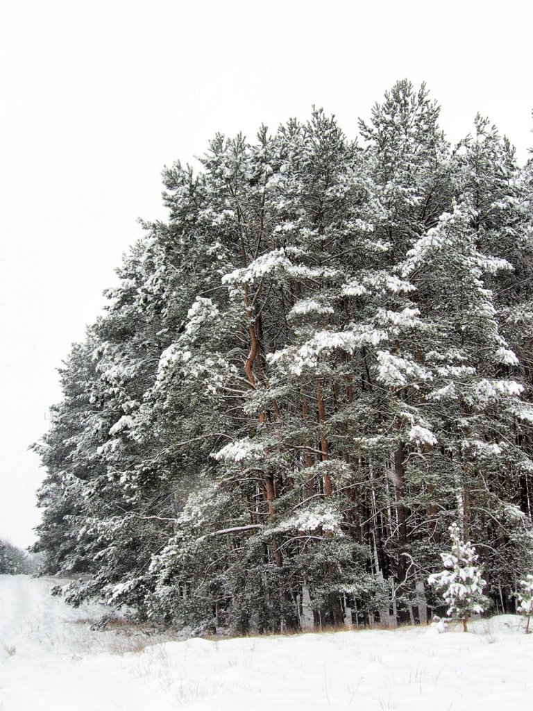 Winter Landscape - Mostki, Заган