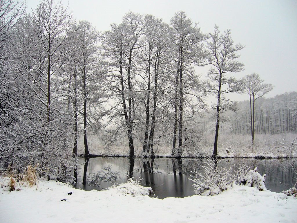 Kanał w Mostkach zimą, Заган