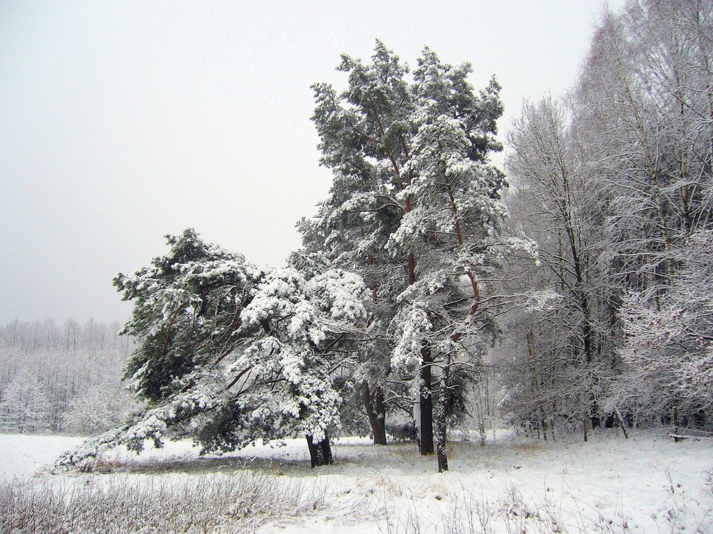 Okolice Mostek zimą, Зелона-Гора