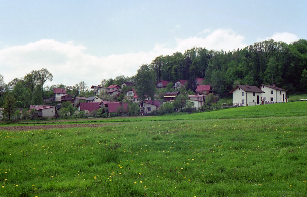 Łapanów (1995), Бочния