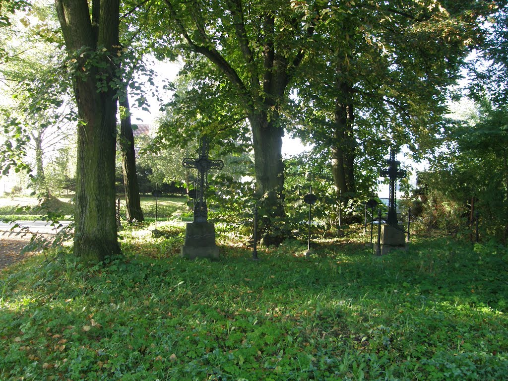 WWI Military Cemetery no: 343 - Kępanów, Бочния