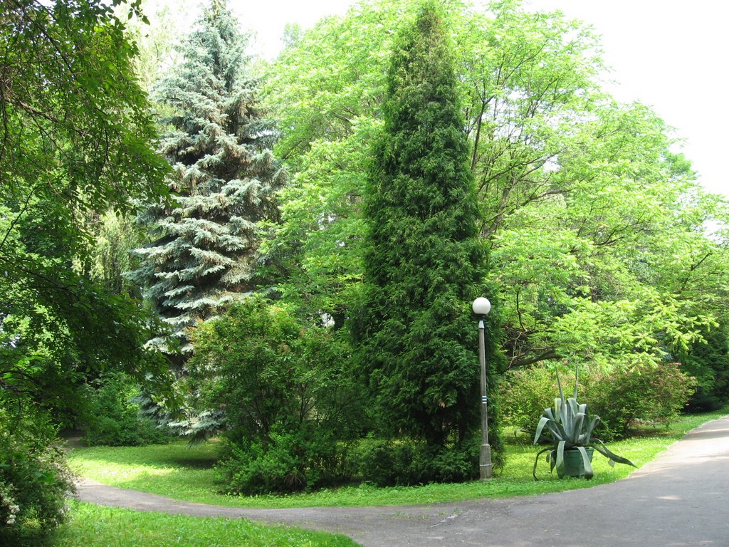 Park miejski w Gorlicach, Горлице
