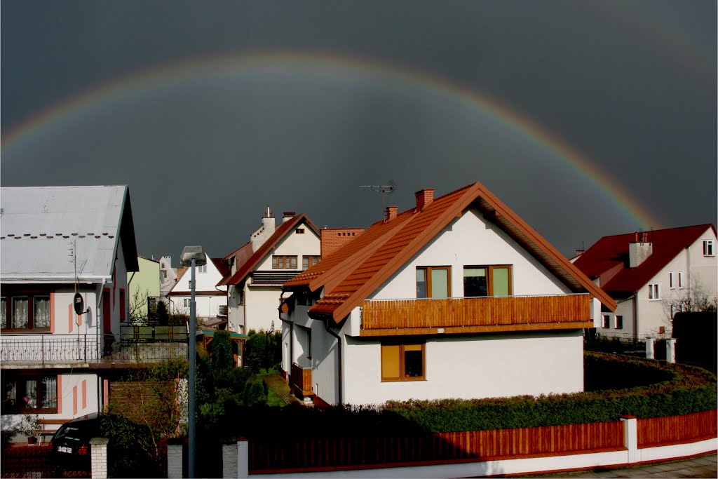 Rainbow, Горлице