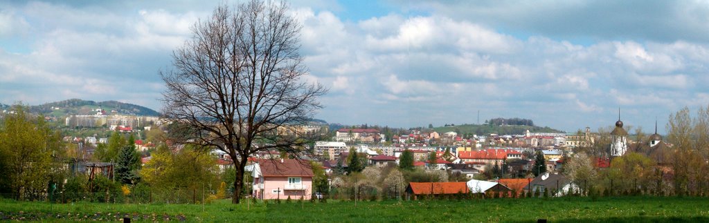 Panorama Gorlic z ul.Łokietka, Горлице