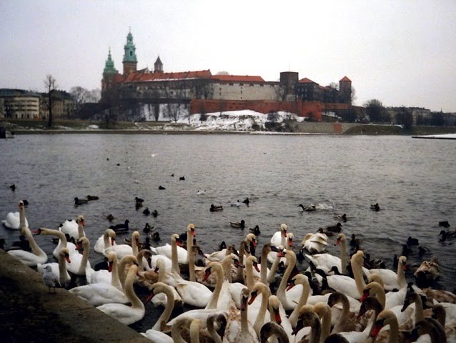 Kraków - Zamek Królewski na Wawelu przez rzekę Wisłę (královský hrad Wawel za řekou Vislou; Wawel Royal Castle across the river Wisla), Poland, Краков