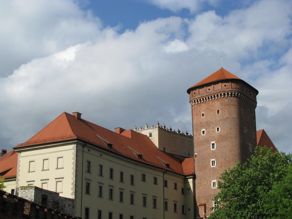 Wawel Royal Castle, Kraków (Foto: Anton Bacea), Краков (ш. ул. Вроклавска)